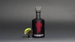 Rammstein  Tequila [upl. by Isoj365]