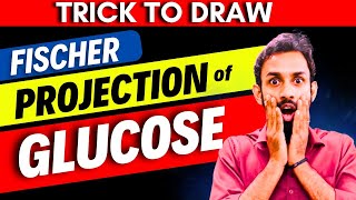 TrickHow to draw Fischer Projection of Glucose  How to draw Structure of Glucose  D amp L Glucose [upl. by Sommer]