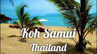 Koh Samui Thailand VLog part 2 [upl. by Ayna952]