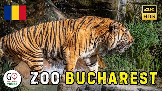 Bucharest Zoo Baneasa  Walking Tour 4K HDR 2024 [upl. by Ecyned]