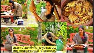 ദൈവമേ ഇതുപോലെ ഒരു വെളുത്തുള്ളി വിളവെടുപ്പു നിങ്ങൾ ആരും കണ്ടിട്ടുണ്ടാവില്ല ഞണ്ടു കറിയും OUTSIDE VLOG [upl. by Kcor]