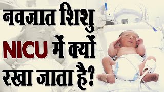 नवजात शिशु को NICU में क्यों रखा जाता है  NICU Baby Care in Hindi  Dr Somendra Shukla [upl. by Tnafni]