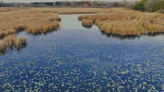 Fall colors  Still Waters  Welcome to Wisconsin [upl. by Okiruy284]