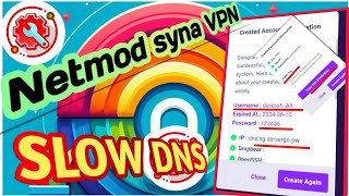 Setting Up Netmod Syna VPN with SSH Slow DNS [upl. by Geilich]