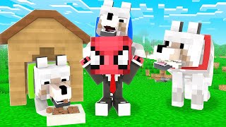 KÖPEKLER BENİ SAHİPLENDİ 🐕  Minecraft [upl. by Sonia]