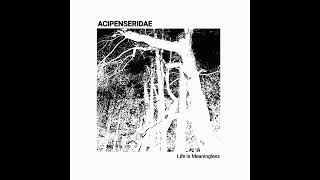 ACIPENSERIDAE  Life Is Meaningless Full Album 2024 Harsh NoiseExperimental [upl. by Ordnael]