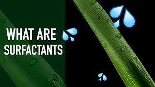 What Are Surfactants  How to Help Herbicides Adhere [upl. by Imerej347]