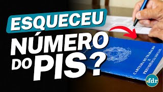 PERDEU O NÚMERO DO PIS VEJA COMO RECUPERAR USANDO SEU CPF [upl. by Assenahs]