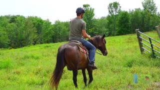 Villa Roma Resort Catskills New York Overview [upl. by Lacie]