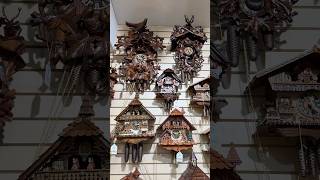 The world of Cuckoo Clocks titisee blackforest cuckooclock germany europe [upl. by Korman952]