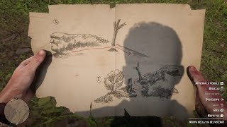 Red Dead Redemption 2  Poisonous Trail treasure map 2 [upl. by Victorine]