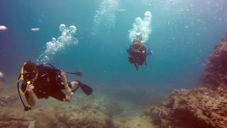 Scuba Diving Sharks Cove GoPro Hero 5  Haleiwa Oahu [upl. by Niajneb871]