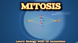 MITOSIS  CELL DIVISION  CELL BIOLOGY  EDUPOINT PATHSHALA [upl. by Pelletier]