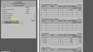 Unadjusted Trial Balance [upl. by Annawik]