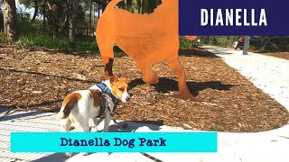 Dianella Dog Excerise Park Perth [upl. by Courtland735]