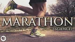 The Science of Marathon Running [upl. by Rats]