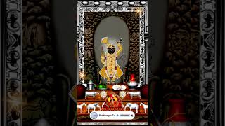 Aaj Ka Darshan Magsar Krishna Ashtami 23 November 2024 Shrinathji ke Darshan [upl. by Ferd]