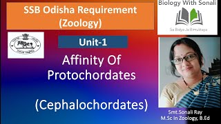 Affinity Of Protochordates  Affinity Of Cephalochordates biologywithsonali ssbodisha zoology [upl. by Aneles]