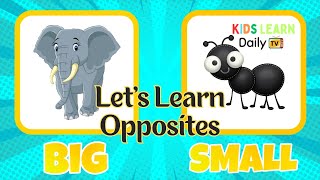 Lets Learn Opposite Words for Preschoolers  Big Small Fast Slow Educational Video [upl. by Iy930]