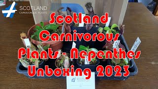 Carnivorous Plants  Scotland Carnivorous Plants  Nepenthes Unboxing 2023 [upl. by Aenal]