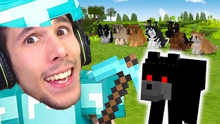 A CACCIA DELLA NUOVA RAZZA di CANI nel NUOVO MINECRAFT  Gabby VANILLA LIVE [upl. by Khajeh527]