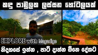 බණ්ඩිගල කඳුපාමුල Mount edge hotel  amazing hotel  amazing architectures  bandigala mount hiking [upl. by Derrick88]