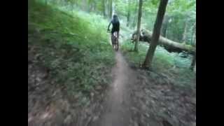 Hollow Point Trail at Strouds Run State Park in Athens Ohio [upl. by Balbur833]