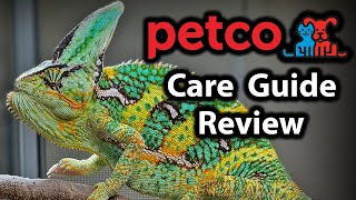 Reviewing Petcos veiled chameleon care guide [upl. by Jedthus613]