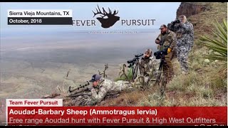 Long Range Aoudad hunt in West Texas [upl. by Alarick274]