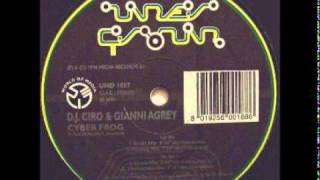 DJ Ciro amp Gianni Agrey  Cyber Frog IoNic Mix [upl. by Ahsatam919]