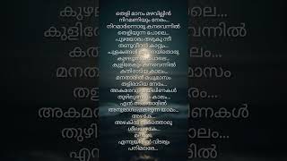 Malare song lyricspremam move songmalayalamsong [upl. by Yoreel]