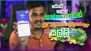 DropShipping  සල්ලි හොයන්න පුලුවන්ද [upl. by Egerton566]