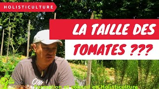 La taille de la tomate pourquoi [upl. by Effy]