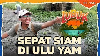 LUBUK  Sepat siam di Ulu Yam [upl. by Moreen143]