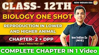 One shot  DPP  Chapter 2 Reproduction in Lower and Higher Animal Biology class 12  nie [upl. by Nilyaj]