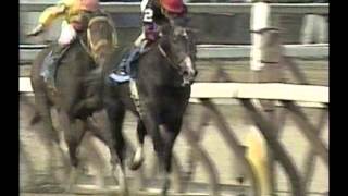 1996 Wood Memorial Stakes  Unbridleds Song [upl. by Eissirhc]