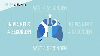 Ademhalingsoefening om stress te verminderen Box Breathing  Blijven Ademen [upl. by Leahsim]