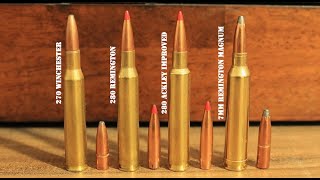 270 vs 280 vs 280 Ackley Improved vs 7mm Rem Mag What You Should Know [upl. by Croom]