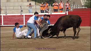 Concurso de roscaderos Zuera Zaragoza 28082024  SANTA ISABEL  HD [upl. by Ahtram]