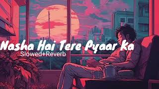 Nasha Hai Tere Pyaar Ka SlowedReverb Song  Saaya Mitraz Lofi Song  Hasify Show 09 [upl. by Nwahsav179]