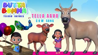 Telugu Kids Cow Song TELLA AAVU VOCHARU Butta Bomma Telugu Rhymes For Children Chinna Pillala Patal [upl. by Ocir439]