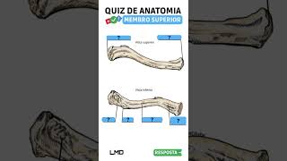 🔴👉 QUIZ DE ANATOMIA 🟨 Aula de Anatomia humana shorts [upl. by Reddin]