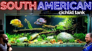 The South American Cichlid Aquarium EPIC 4ft Planted Tank Aquascape Tutorial [upl. by Philana532]