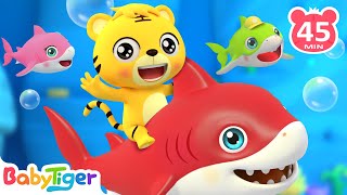 Baby Shark amp Baby Tigers  More Animal Songs amp Nursery Rhymes  BabyTiger [upl. by Aeriela]