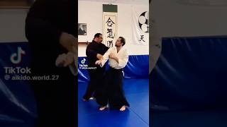 Aikido master amazing skills martial arts extreme stunts hapkido weak points dim mak touch death [upl. by Hild]