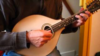 Irish mandolin lessons The Gravel Walk reel [upl. by Tjader]