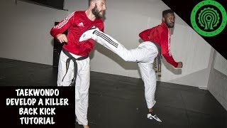 Taekwondo Develop a Killer Back Kick Tutorial [upl. by Alyosha]