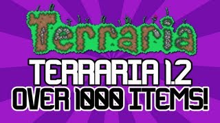 Terraria  NEW 12 Update Information  Over 1000 Items Added into the game  Fireworks [upl. by Seuqcaj]