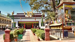 Tibetan Buddhist Monastery in Sarnath Varanasi India—Constructed in 1955 [upl. by Yeliac]