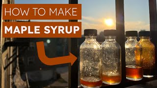 How To Make Maple Syrup For Beginners [upl. by Caprice]